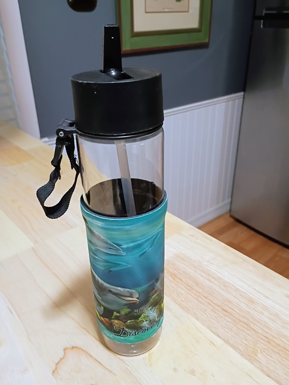 Aqua Dolphin Print Water Bottle with Carry Strap